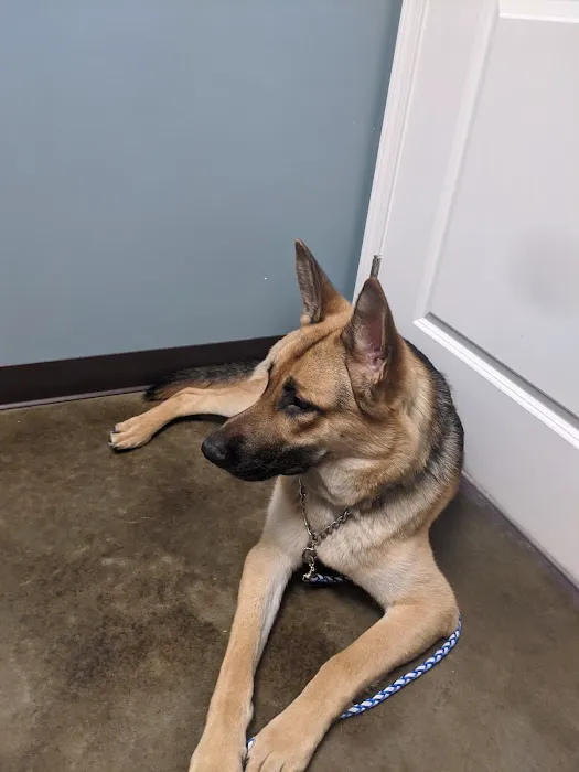Latimer Animal Hospital, LLC Picture 1