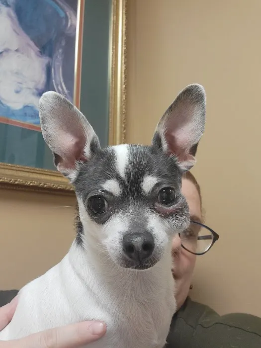 Latimer Animal Hospital, LLC Picture 10