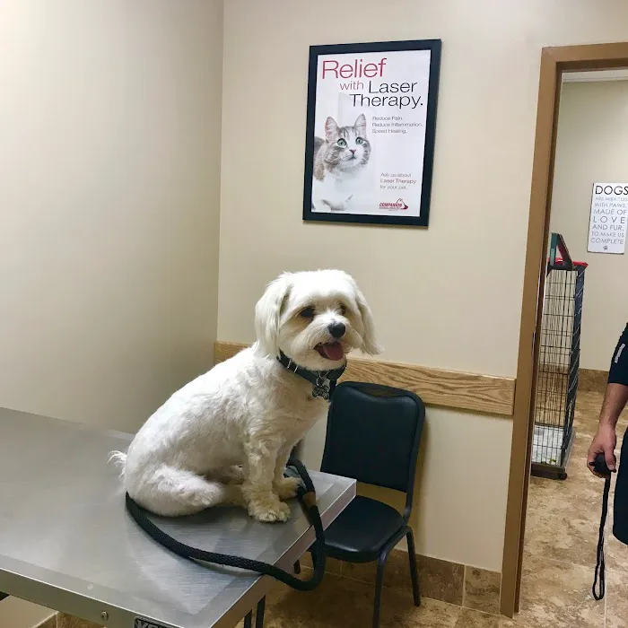 Gailor Animal Hospital Picture 1