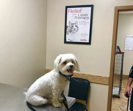 Gailor Animal Hospital
