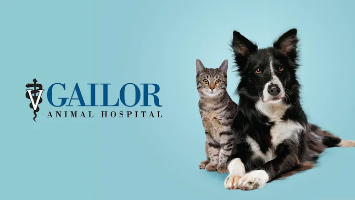 Gailor Animal Hospital Picture 3