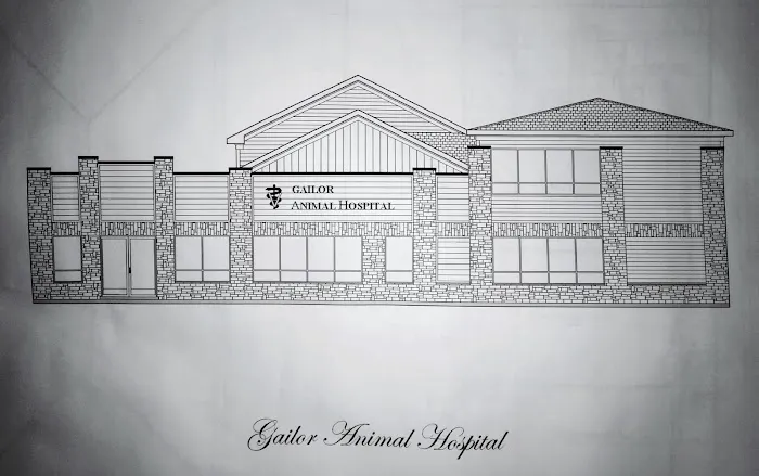 Gailor Animal Hospital Picture 7