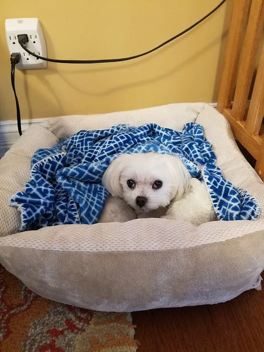 Gailor Animal Hospital Picture 8