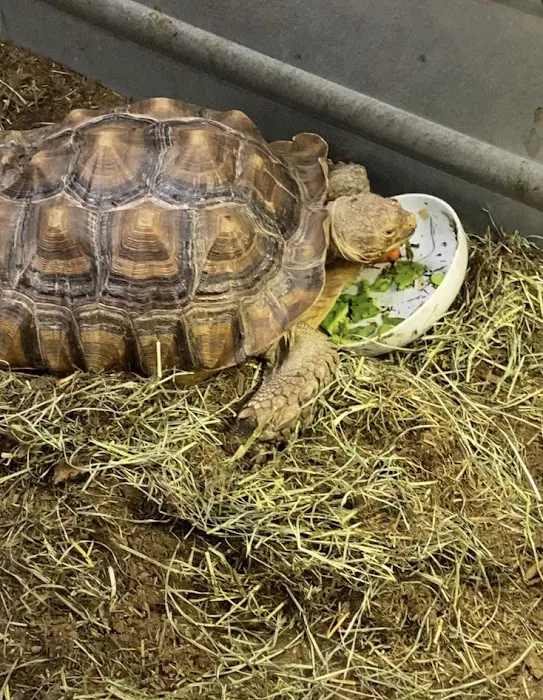 Fairleigh Pet Center Picture 2