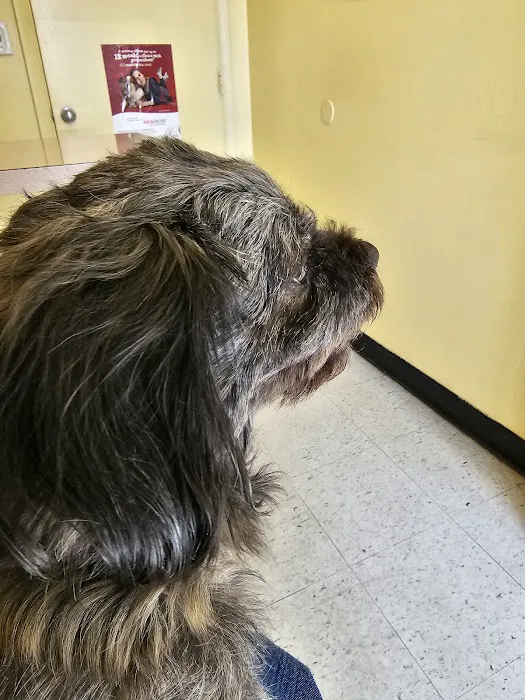 Fairleigh Pet Center Picture 3