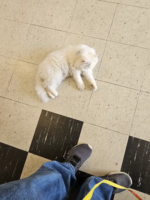 Fairleigh Pet Center Picture 4