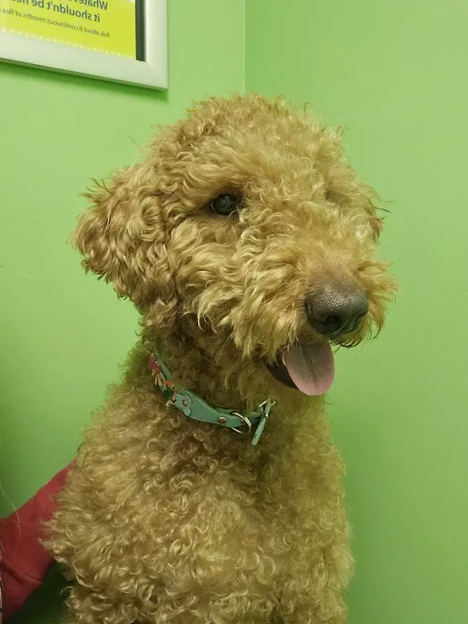 Fairleigh Pet Center Picture 7