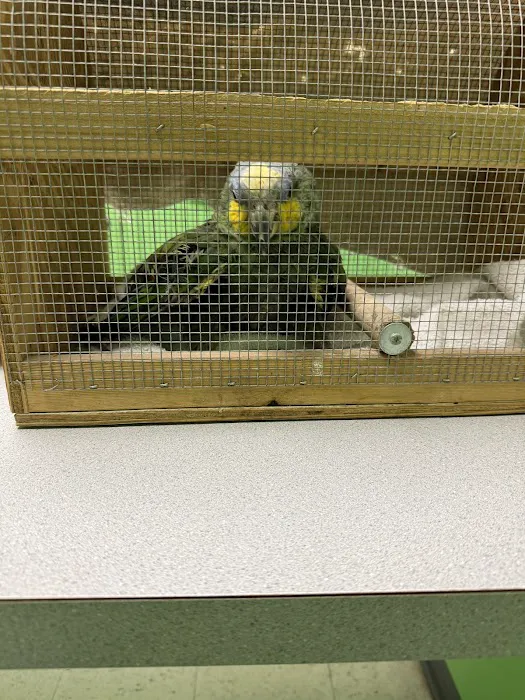 Fairleigh Pet Center Picture 10