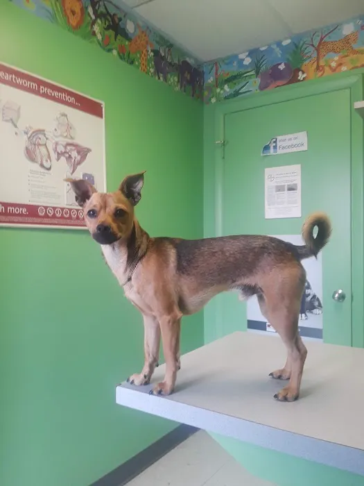 Fairleigh Pet Center Picture 9
