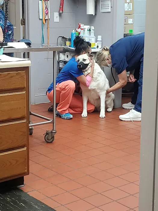 Preston Animal Hospital Picture 4