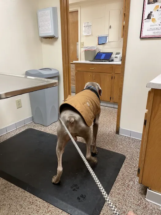 Dixie Animal Hospital Picture 1