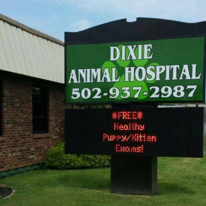 Dixie Animal Hospital Picture 3