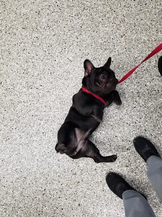 Dixie Animal Hospital Picture 9