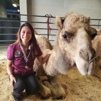 Bannon Woods Veterinary Hospital ico