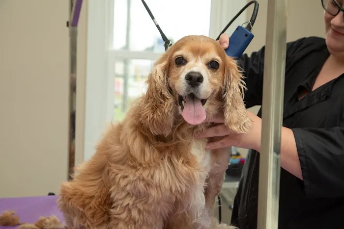 Bannon Woods Veterinary Hospital Picture 2
