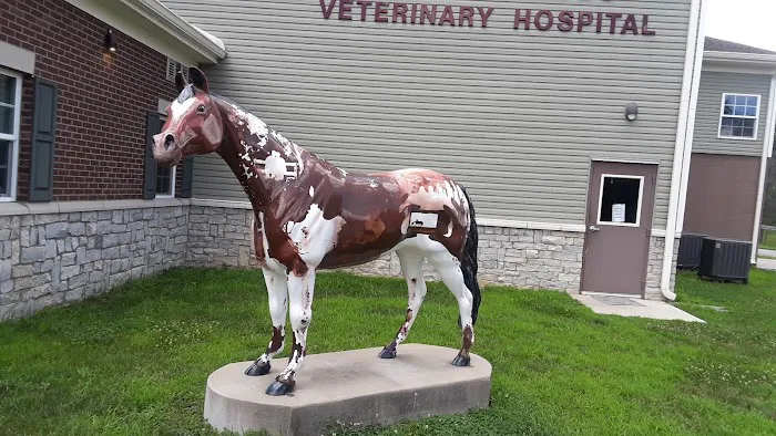 Bannon Woods Veterinary Hospital Picture 8