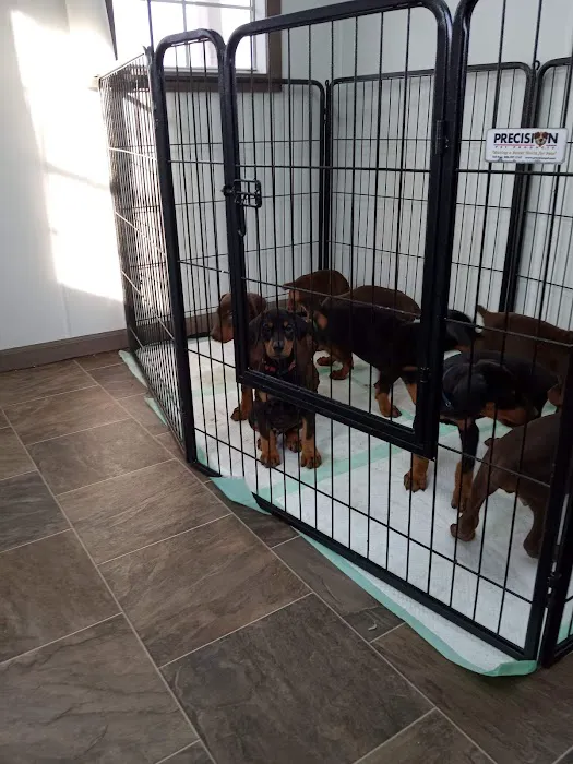 Midgarden Veterinary Clinic Picture 1