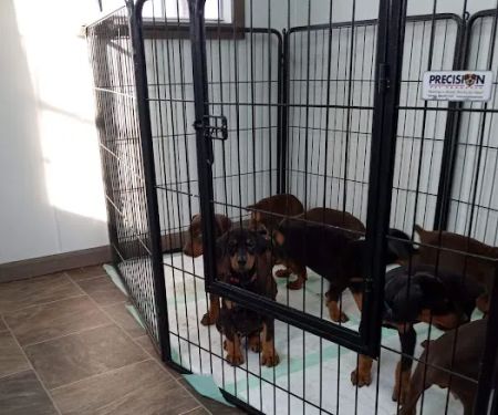 Midgarden Veterinary Clinic