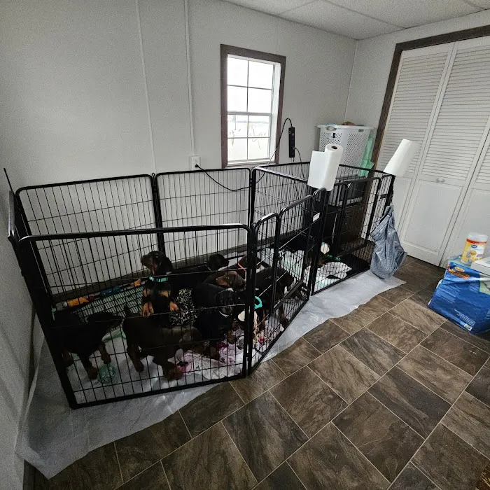 Midgarden Veterinary Clinic Picture 3