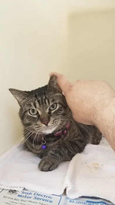 St Marys Vet Picture 3