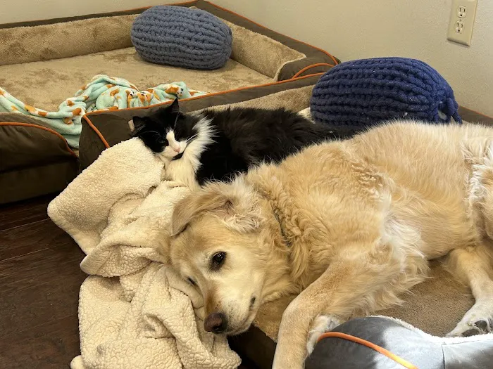The West Suburban Animal Hospital Picture 2
