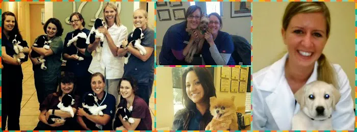The West Suburban Animal Hospital Picture 1