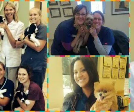 The West Suburban Animal Hospital