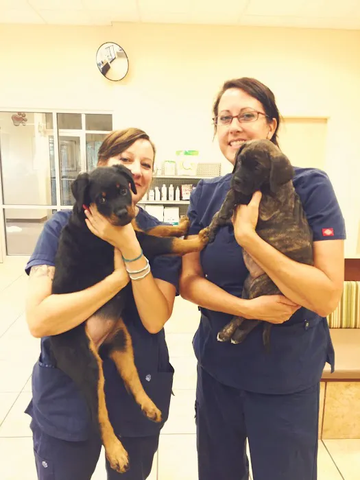 The West Suburban Animal Hospital Picture 6
