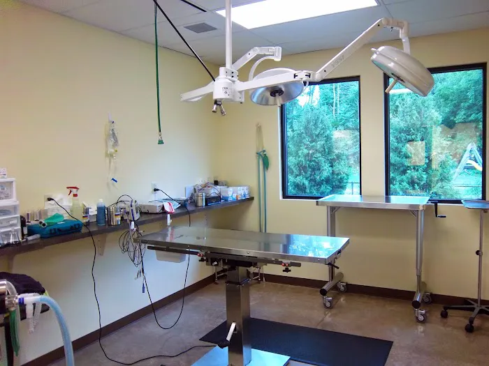 The West Suburban Animal Hospital Picture 10