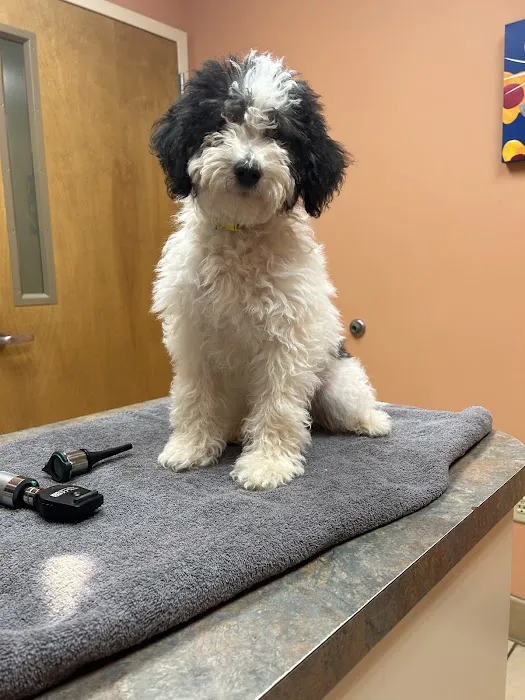 Hillcrest Animal Hospital Picture 1