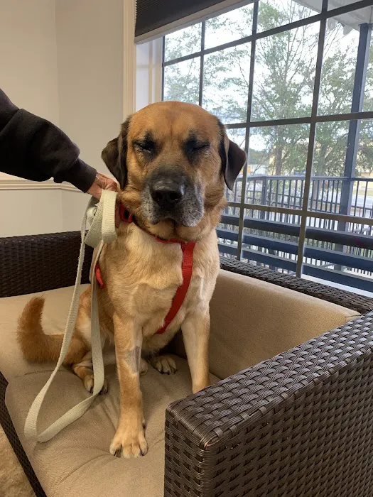 Wateree Animal Hospital Picture 1