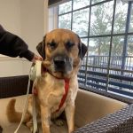 Wateree Animal Hospital