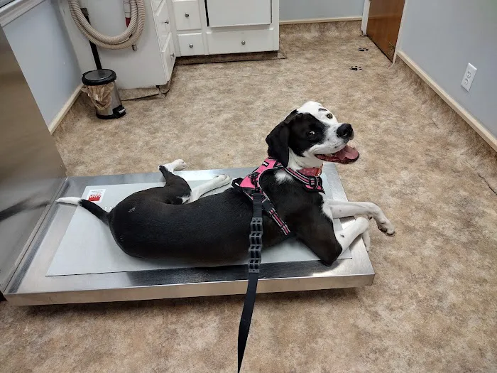 Wateree Animal Hospital Picture 8