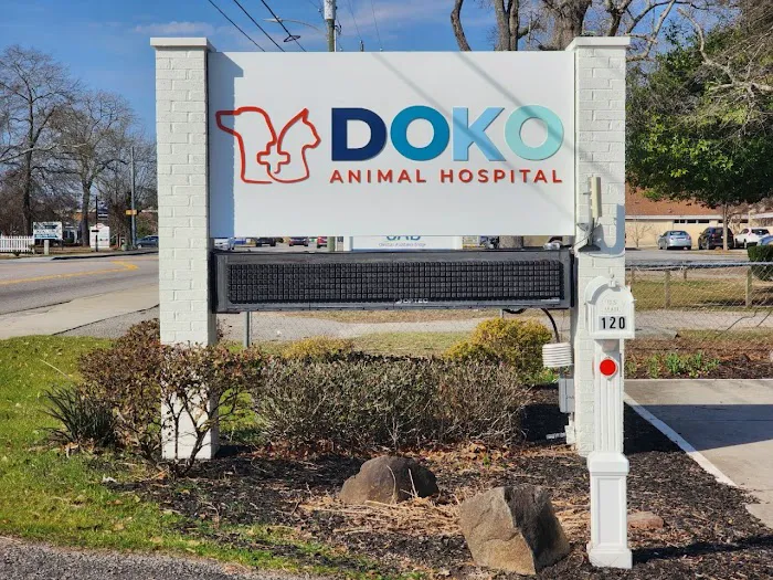 DOKO Animal Hospital Picture 2