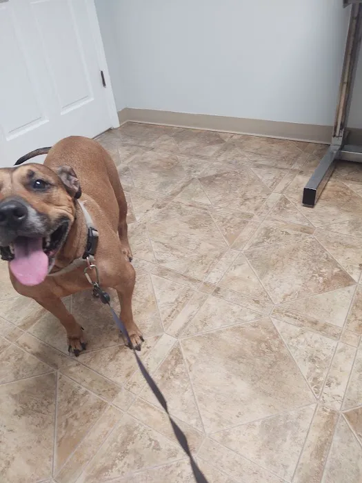 DOKO Animal Hospital Picture 1