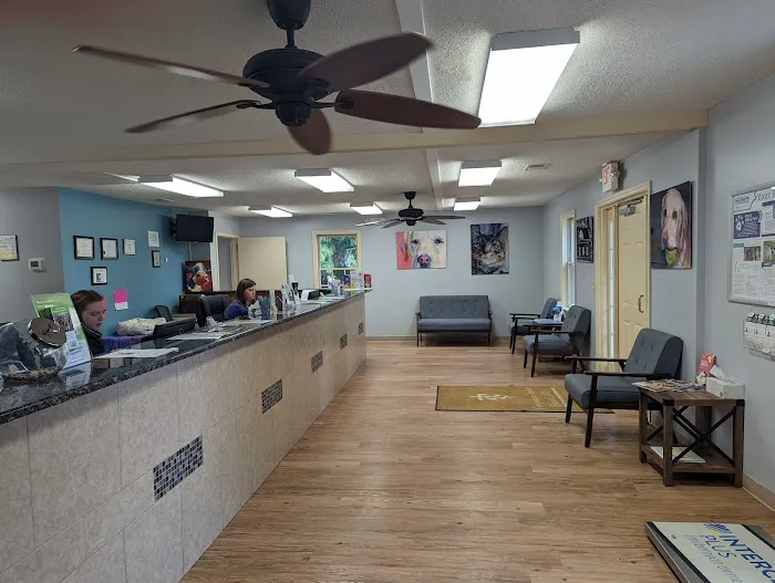 DOKO Animal Hospital Picture 4