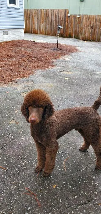 DOKO Animal Hospital Picture 10