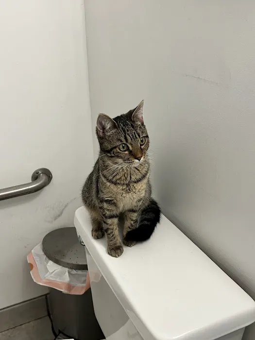 Blythewood Animal Hospital Picture 4