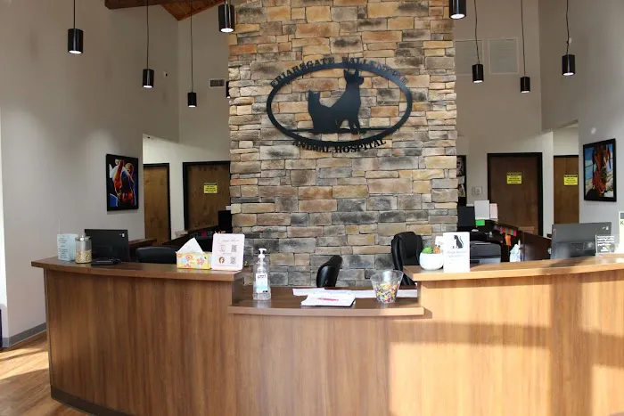 Friarsgate-Ballentine Animal Hospital Picture 6