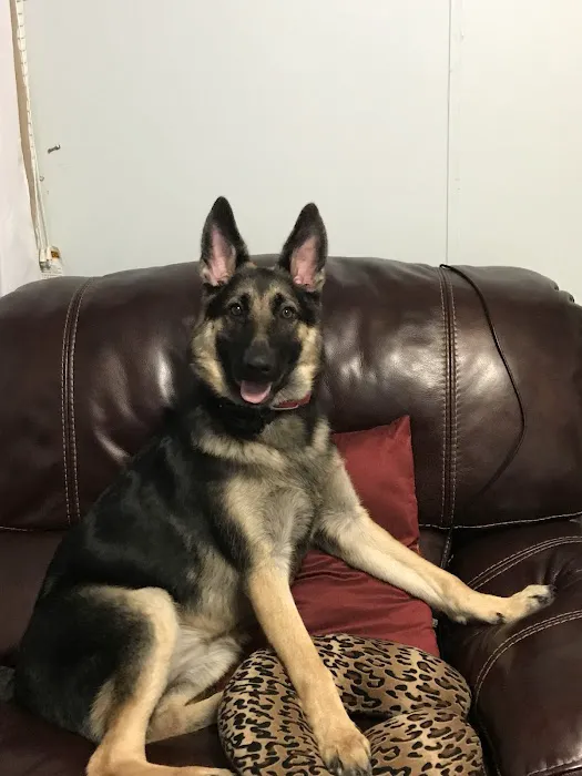 Pet Friends Veterinary Clinic Picture 5