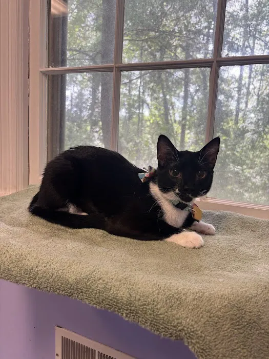 Pet Friends Veterinary Clinic Picture 7