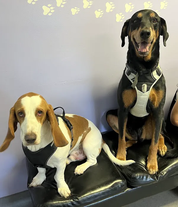 Pet Friends Veterinary Clinic Picture 10