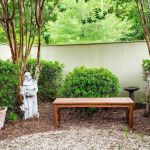 Dutch Fork Animal Hospital