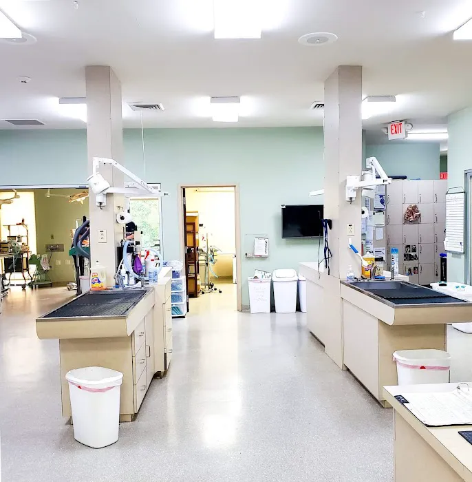 Dutch Fork Animal Hospital Picture 4