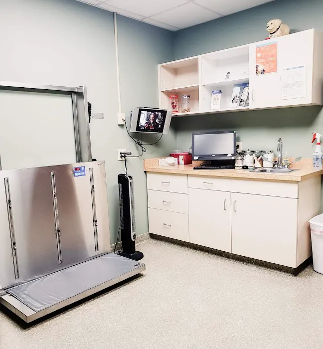 Dutch Fork Animal Hospital Picture 5