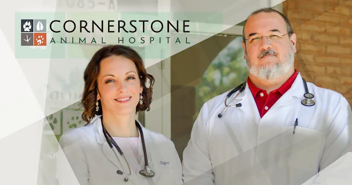 Cornerstone Animal Hospital Picture 1