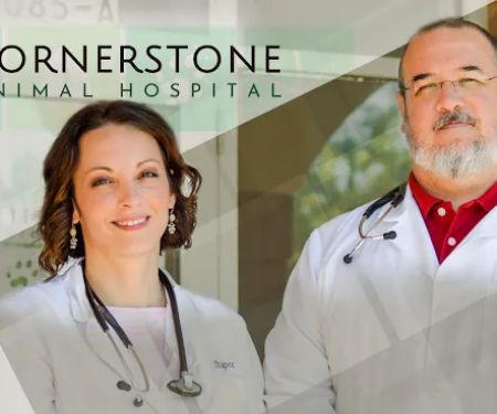 Cornerstone Animal Hospital
