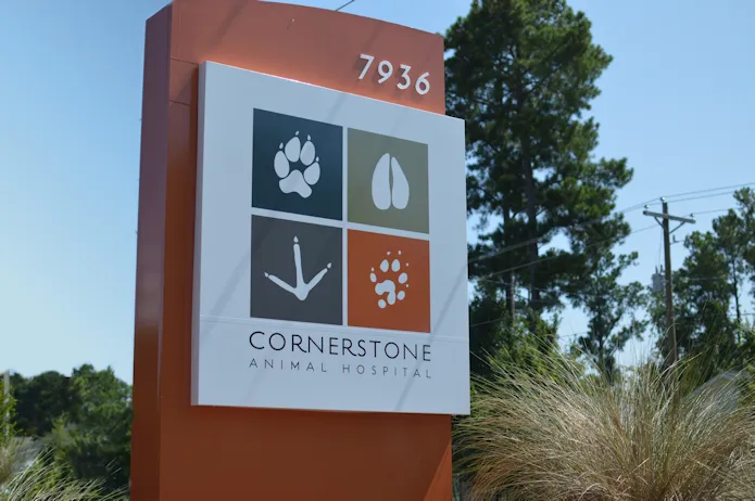 Cornerstone Animal Hospital Picture 2