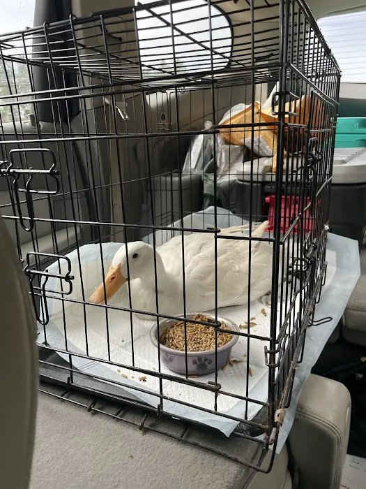Cornerstone Animal Hospital Picture 5