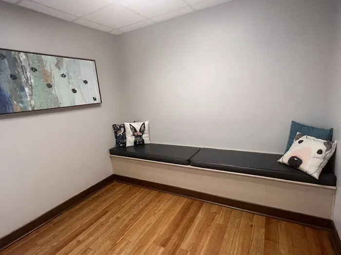 Cornerstone Animal Hospital Picture 9